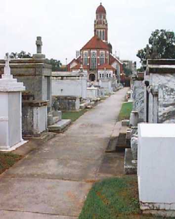 Cathedral Rear